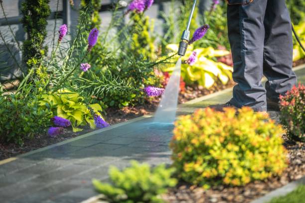 Trusted Donora, PA  Pressure Washing Services Experts