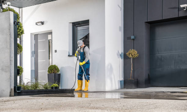 Best Roof Washing  in Donora, PA